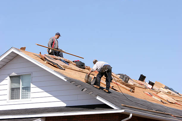 Best Asphalt Shingle Roofing  in Fortuna, CA